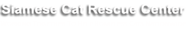 SCRC logo